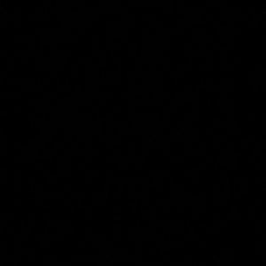 Meet your Posher, Noah